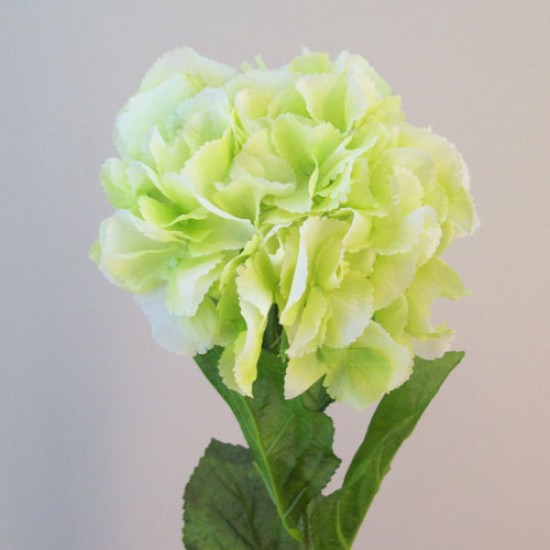 Artificial Hydrangeas Candy Crush Green 71cm Artificial Flowers
